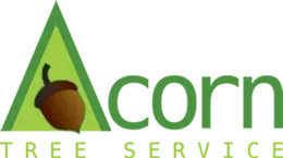 Acorn Tree Services
